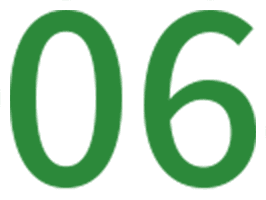 06